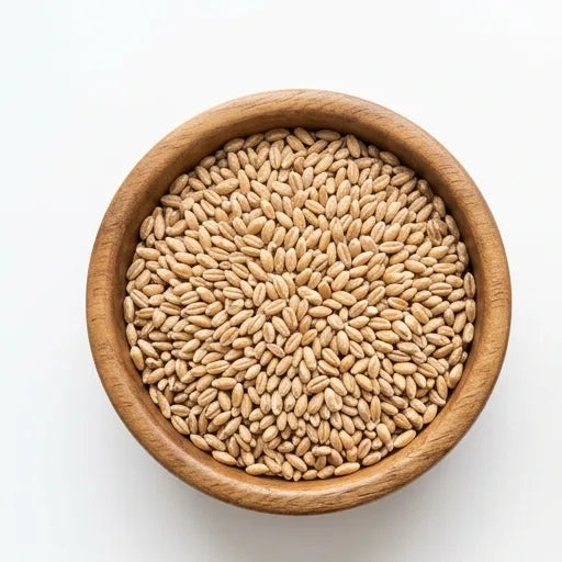 Barley